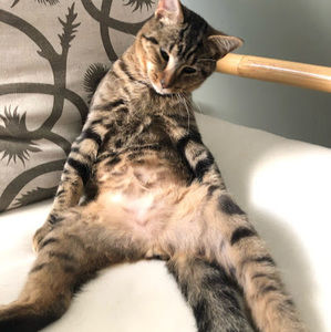 Meet your Posher, Anna